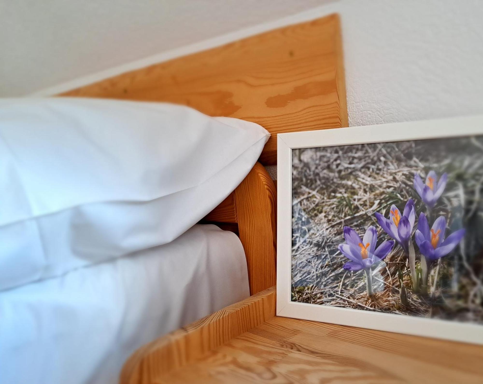 Przy Szlaku Zakopane Centrum Pokoje & Apartamenty Εξωτερικό φωτογραφία