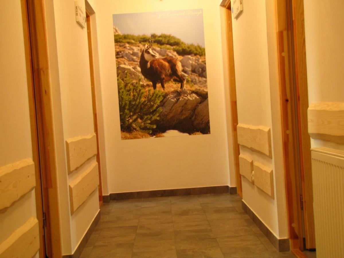 Przy Szlaku Zakopane Centrum Pokoje & Apartamenty Εξωτερικό φωτογραφία